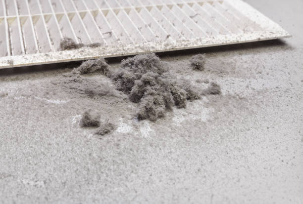 Best Professional Duct Cleaning Services  in Manorhaven, NY