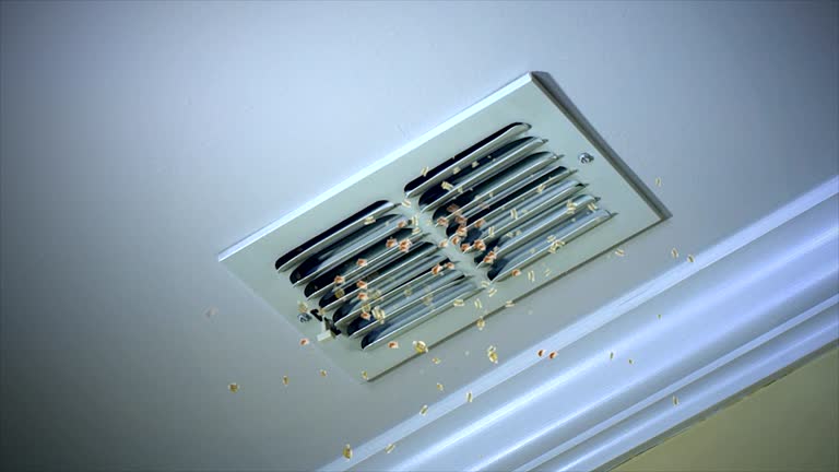 Best Affordable Duct Cleaning Services  in Manorhaven, NY